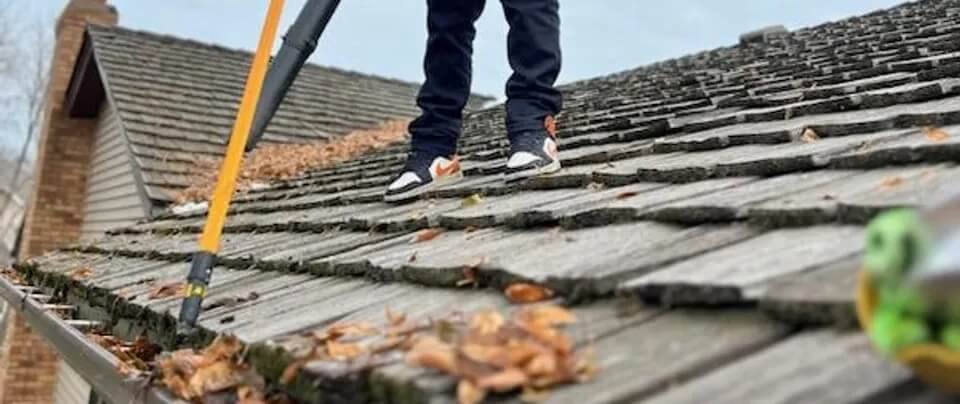 Gutter Cleaning